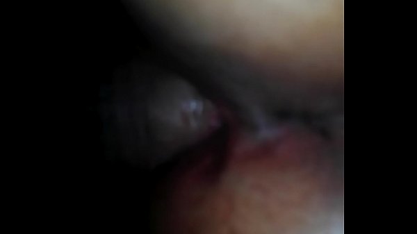 Cogiendoa latina mexicana