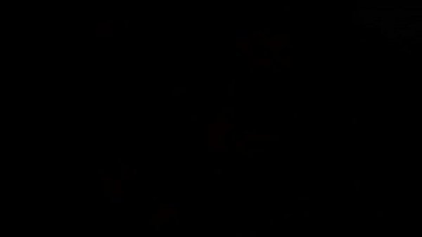 Nonton Lucky Chic Got Two Studs At Her Service thumbnail