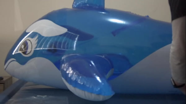 Inflatable blimp whale opening, pumping up and letting down 