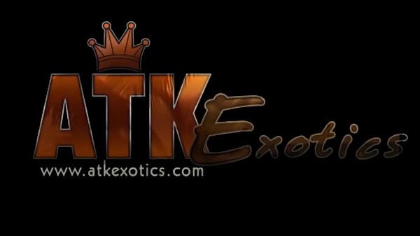 Nonton She Loves Her Toy thumbnail