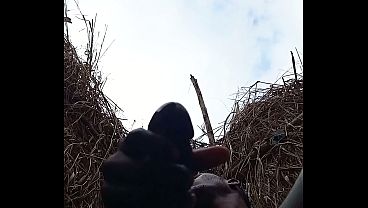 Cheirodmacho - update #2 - 1001069579 - Sep 10, 2026