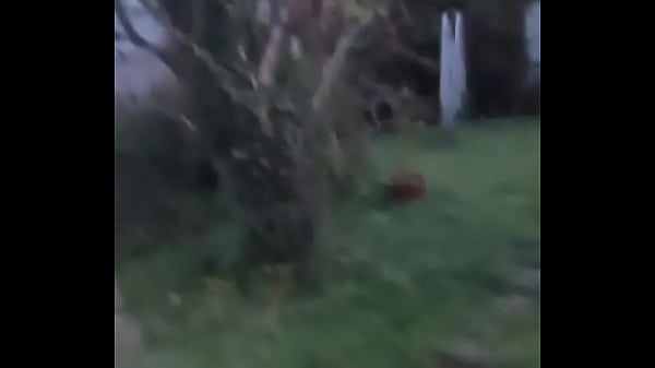 Jerk off in the garden