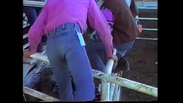 Play MP4 - Young stud Josh Wade was impressed with his first trip to rodeo&comma; he bacame happy as a pig in muck  when he was able to meet the main rodeo star legendary cowboy Gary Dean