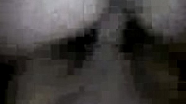 10-06-09celula thumbnail