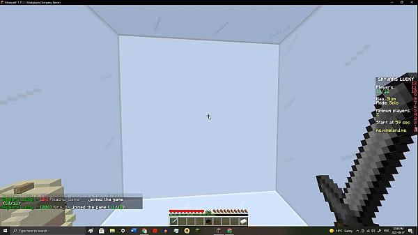 No h*rny play minecraft 