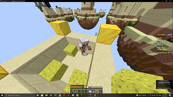 No h*rny play minecraft 