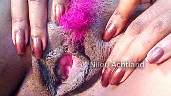 Pussy on my mind nilou achtland 