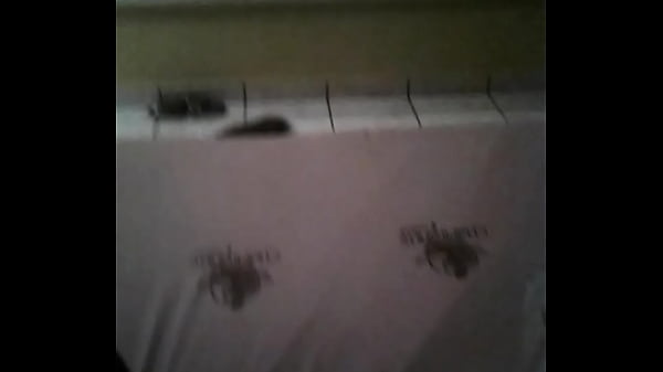 Comendo_a empregada rapidinho noquarto