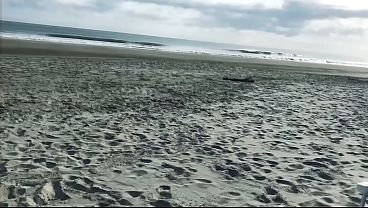 She was fucked hard in the ass in front of everyone 