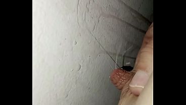 Spruzza latte sul muro 