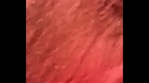 Nonton Bonsoir Les Coquins thumbnail