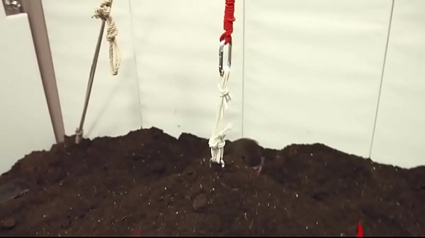 1 Extreme BDSM bottom action_in gangbang 2015 10 20 12 21 013