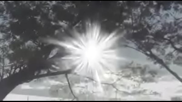 Video verifivatoon