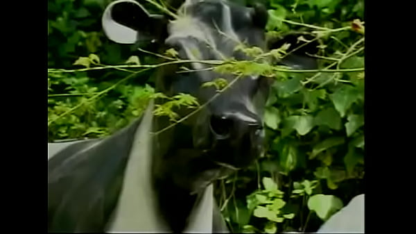 X Cuts - Before They Were Superstars 02 - Full movie 