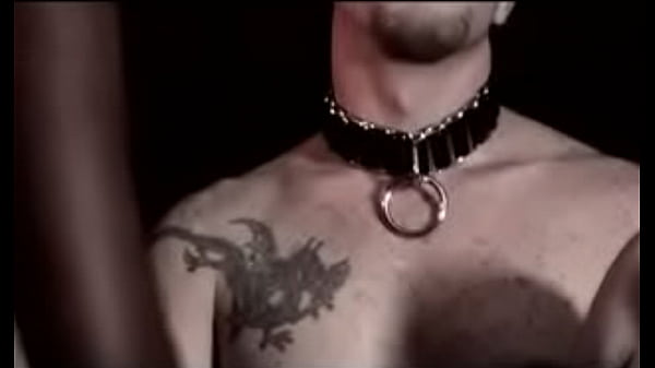 Morpheus andMiss Eliza