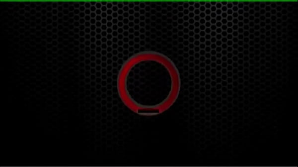 Penny pax feels frisky in the kitchen she climbs onto the counter 