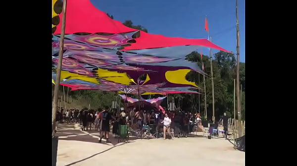 Findi aben&ccedil;oado 