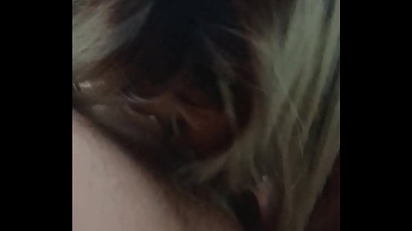 Katalina - update #41 - 20230817 090731-1 - Jun 20, 2024 