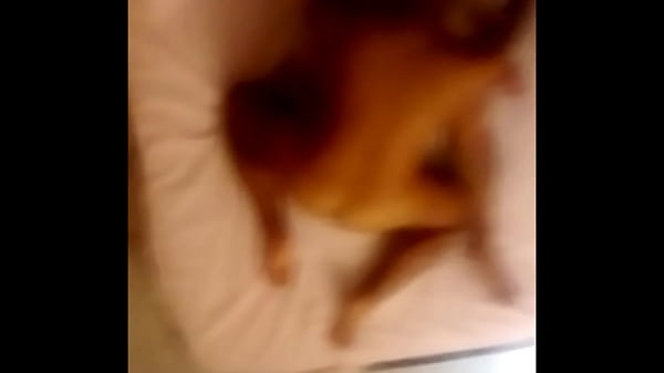 Play MP4 - BAIANO NO RIO 2