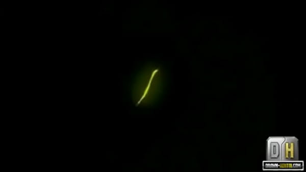 Hentaipon.wordpress.com - Remaining Full Videos on our website 