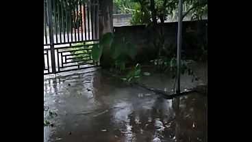 Video x&aacute_c minh
