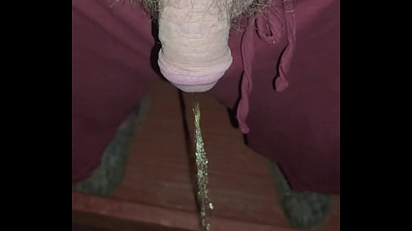 Kaso221 pissing off my porch 