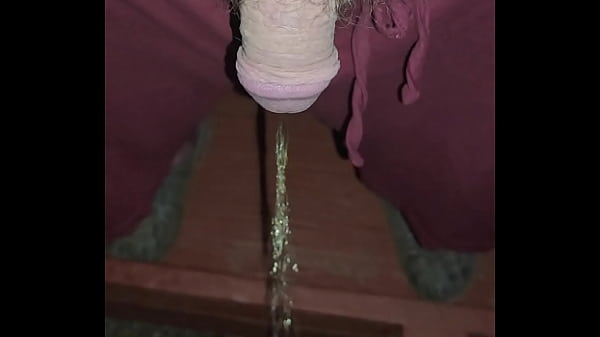 Kaso221 pissing off my porch 