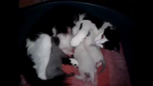 video-2015-08-31-02-54-08