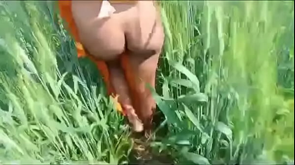 desi bhabhi fucked in the wheat field by hasband