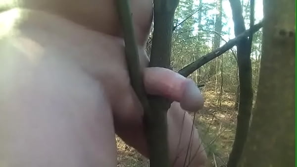 fuck tree deep forest 