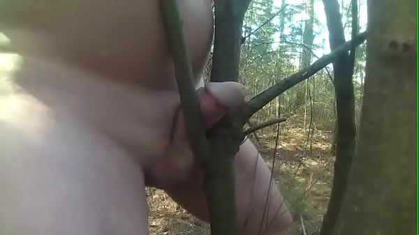 Play MP4 - Fucking trees 17