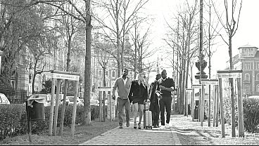 Nonton Brazen Businesswoman Maya Rose Treats Bbc Colleagues To A Rampant Dp Gangbang Gp3415 thumbnail