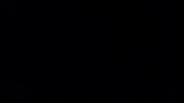 trim.6BCFE695-25C1-4C63-BD37-5040337AC311.MOV