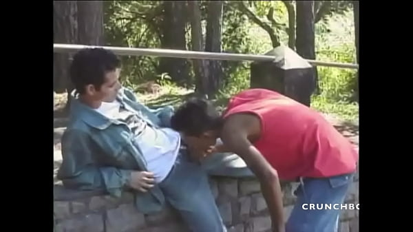 Latin Twink Fucking In Wood thumbnail