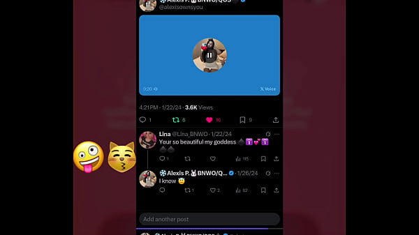 Play MP4 - BNWO for whitebois