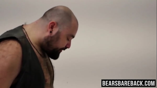 Fat bear shoves hear cock up tight ass 
