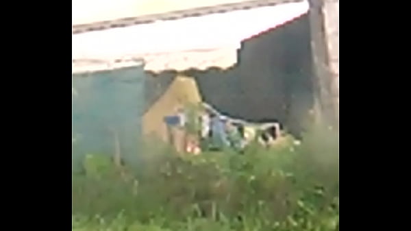 Th&eacute; tits officiel my neighbour 