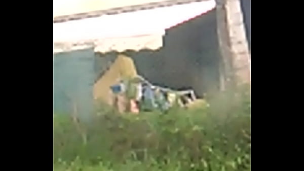 Th&eacute_ tits officiel my neighbour