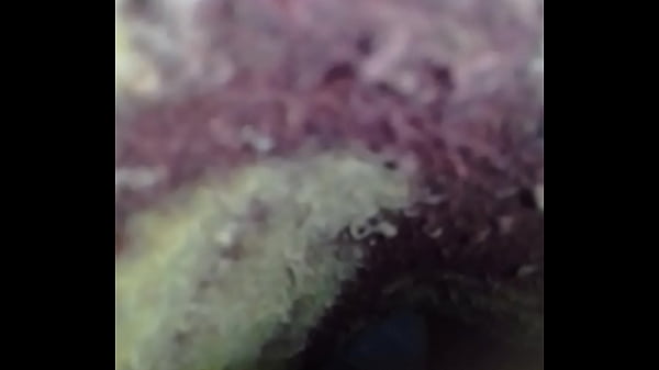 Play MP4 - 20170306 233421