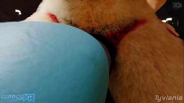 Nonton Furry Poc Blowjob thumbnail