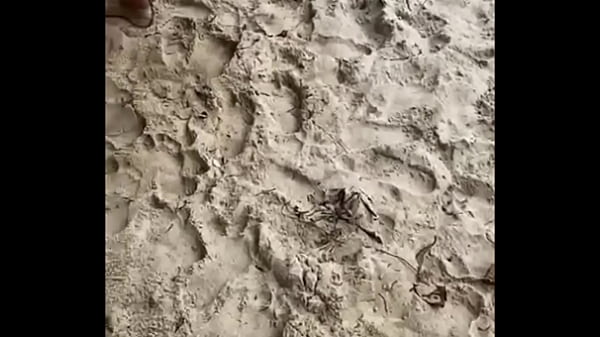 Nonton Bastidores Na Praia Secreta Em S&atilde;o Vicente thumbnail