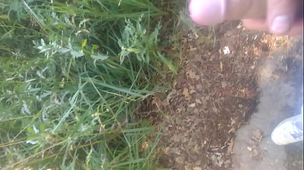 V 20170713 163513