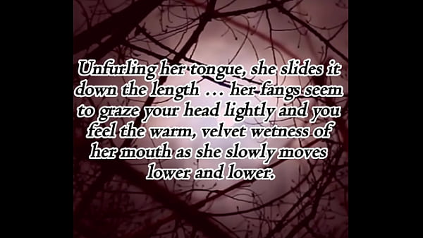 Dont mess with a succubus 