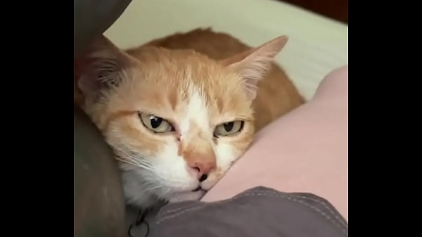 Miss Our Little Crazy Cat Already! Do You Feed Street Animals? No Matter Where We Go We Have Cat Food With Us And Fe... thumbnail