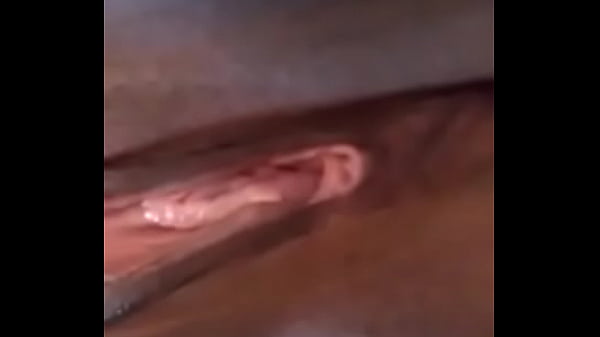 Del enpredado Lara Venezuela