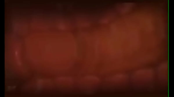 Play MP4 - 射精过程演示