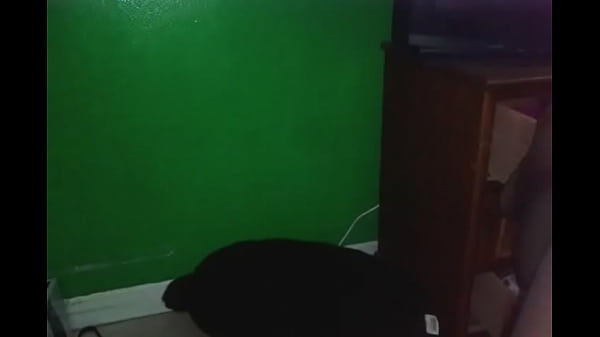 Nonton Dolo With A Brush thumbnail