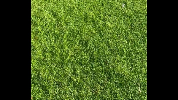 Nonton Just Bouncing Around Under This Tree Sweating So I Can Make Your Pants Tight. thumbnail