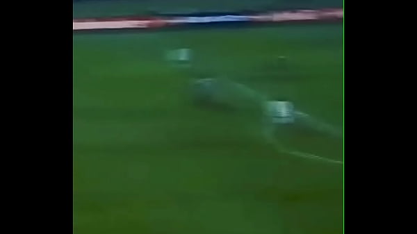 Edilson capetinha punindo as garotas espanholas no morumbi