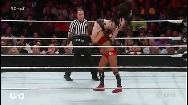 Nikki Bella vs Paige Raw_3 23 15